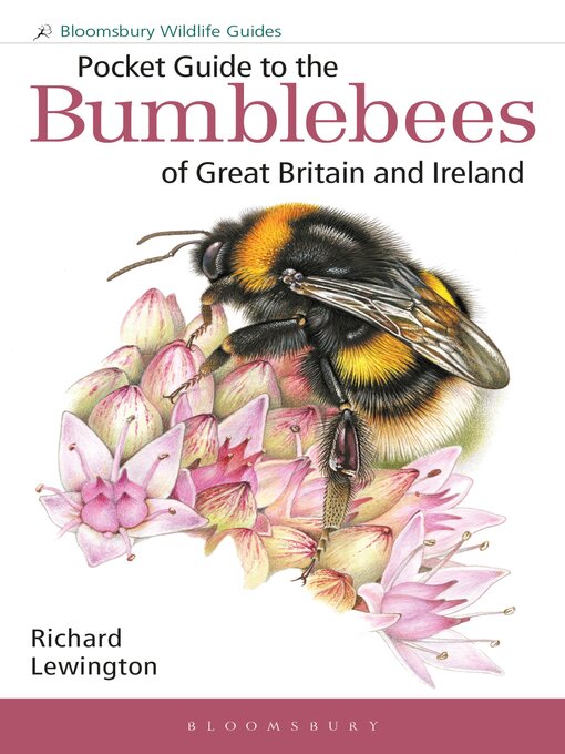 Title details for Pocket Guide to the Bumblebees of Great Britain and Ireland by Richard Lewington - Available